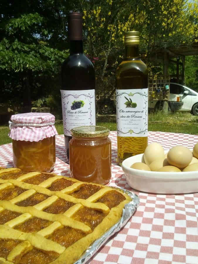 Willa Casa Renacci Subbiano Zewnętrze zdjęcie